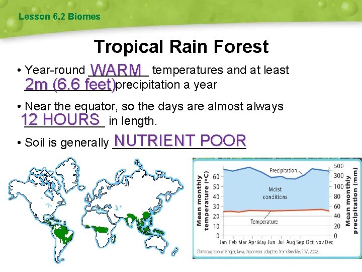 Lesson 6. 2 Biomes Tropical Rain Forest • Year-round _____ WARM temperatures and at