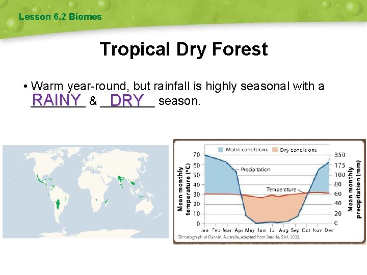 Lesson 6. 2 Biomes Tropical Dry Forest • Warm year-round, but rainfall is highly