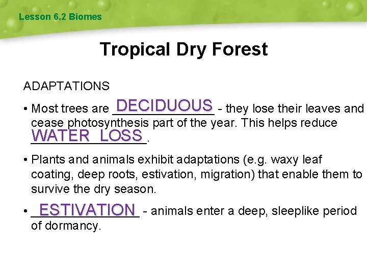 Lesson 6. 2 Biomes Tropical Dry Forest ADAPTATIONS DECIDUOUS - they lose their leaves