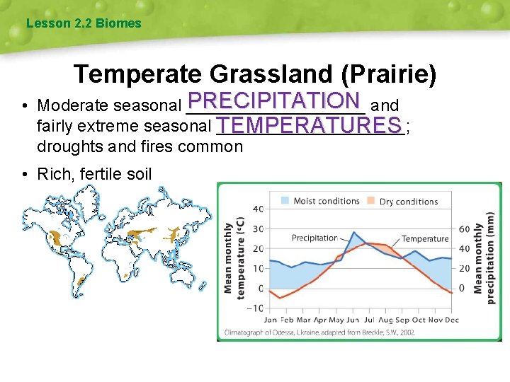 Lesson 2. 2 Biomes Temperate Grassland (Prairie) PRECIPITATION and • Moderate seasonal __________ fairly