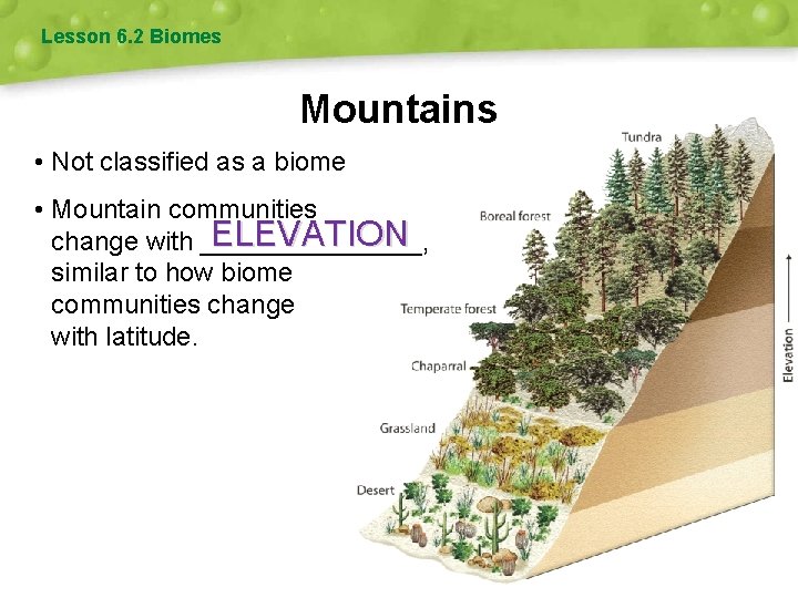 Lesson 6. 2 Biomes Mountains • Not classified as a biome • Mountain communities