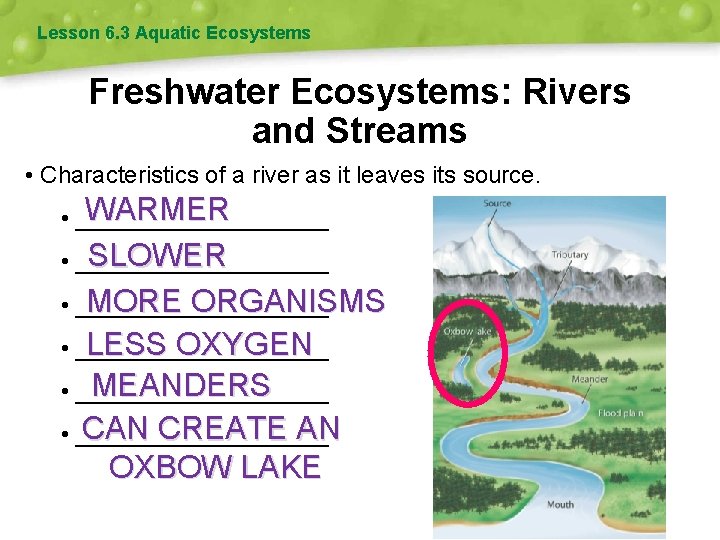 Lesson 6. 3 Aquatic Ecosystems Freshwater Ecosystems: Rivers and Streams • Characteristics of a