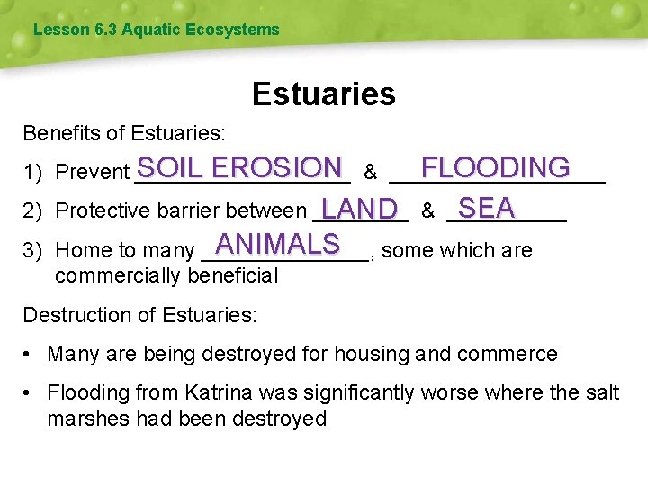 Lesson 6. 3 Aquatic Ecosystems Estuaries Benefits of Estuaries: SOIL EROSION & _________ FLOODING