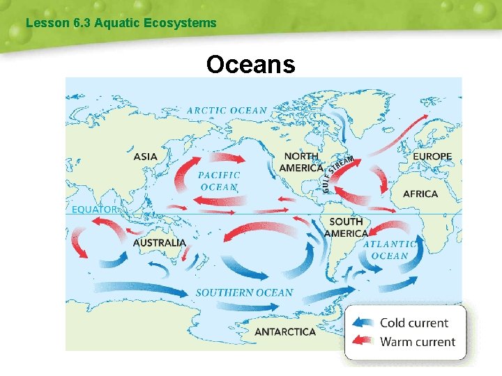 Lesson 6. 3 Aquatic Ecosystems Oceans 