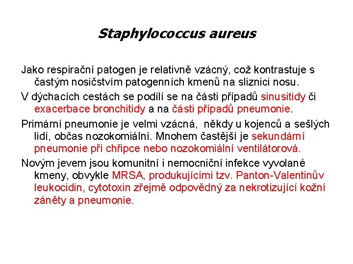 Staphylococcus aureus Jako respirační patogen je relativně vzácný, což kontrastuje s častým nosičstvím patogenních