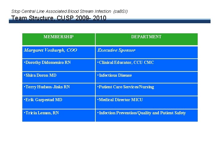 Stop Central Line Associated Blood Stream Infection (ca. BSI) Team Structure, CUSP 2009 -