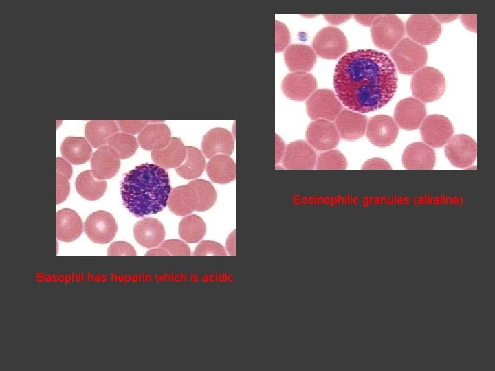 Eosinophilic granules (alkaline) Basophil has heparin which is acidic 