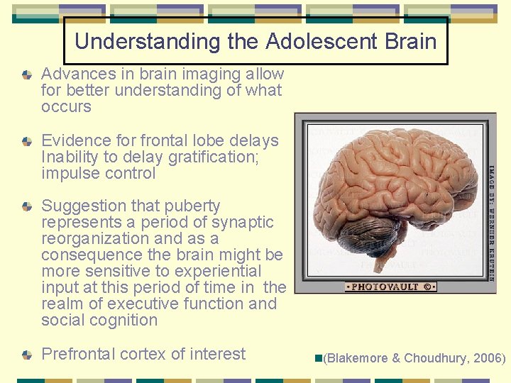 Understanding the Adolescent Brain Advances in brain imaging allow for better understanding of what