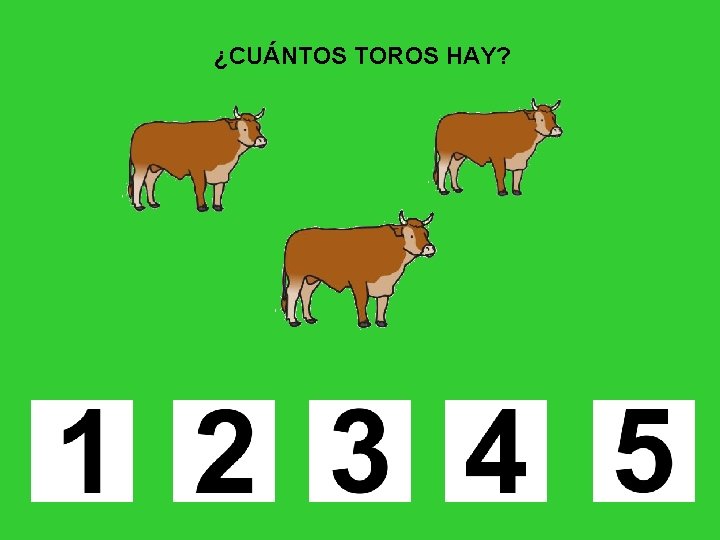 ¿CUÁNTOS TOROS HAY? 