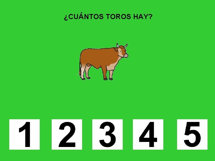 ¿CUÁNTOS TOROS HAY? 