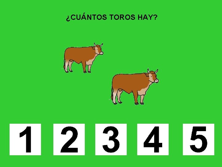 ¿CUÁNTOS TOROS HAY? 