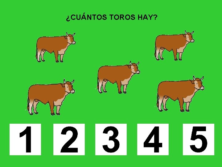 ¿CUÁNTOS TOROS HAY? 
