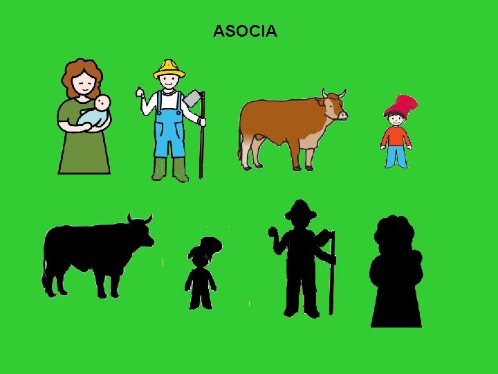 ASOCIA 