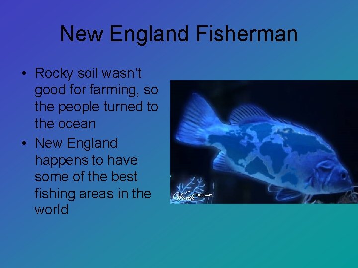 New England Fisherman • Rocky soil wasn’t good for farming, so the people turned