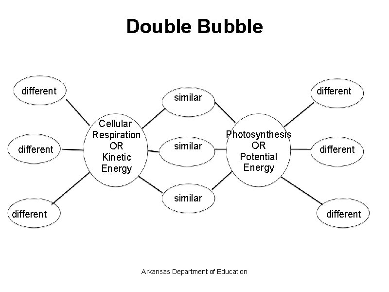 Double Bubble different similar Cellular Respiration OR Kinetic Energy similar Photosynthesis OR Potential Energy