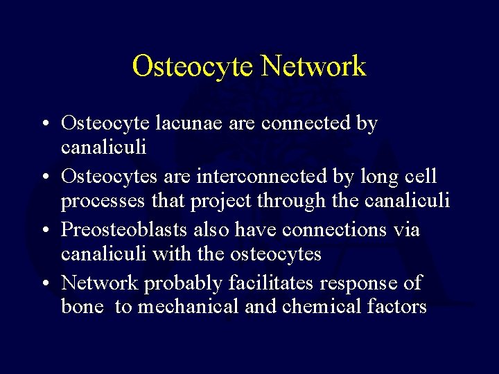 Osteocyte Network • Osteocyte lacunae are connected by canaliculi • Osteocytes are interconnected by