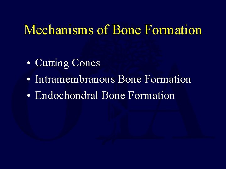 Mechanisms of Bone Formation • Cutting Cones • Intramembranous Bone Formation • Endochondral Bone