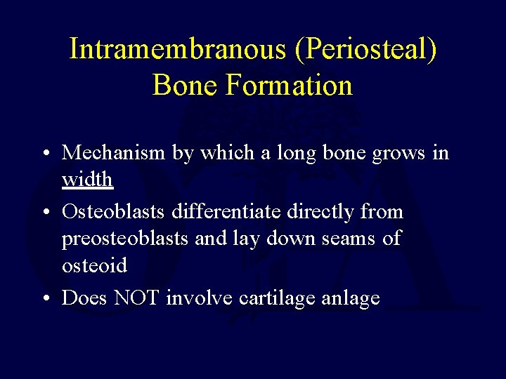 Intramembranous (Periosteal) Bone Formation • Mechanism by which a long bone grows in width