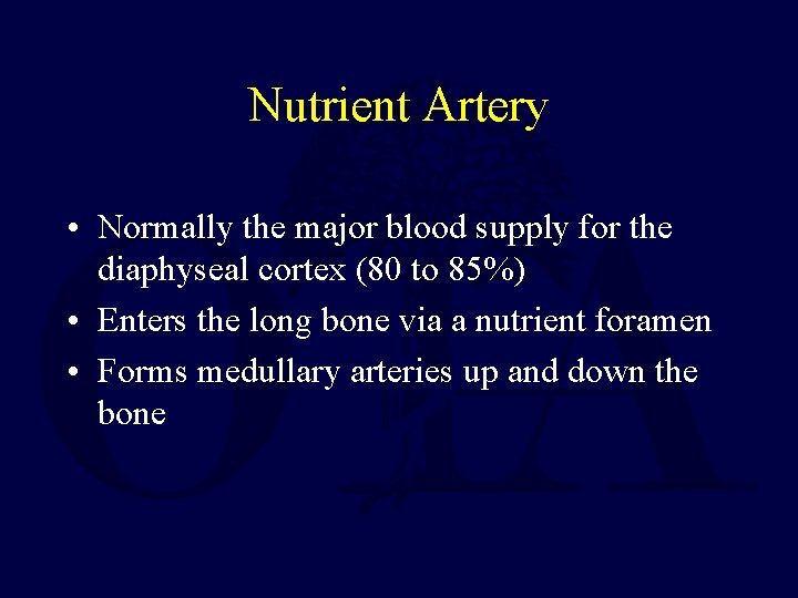 Nutrient Artery • Normally the major blood supply for the diaphyseal cortex (80 to