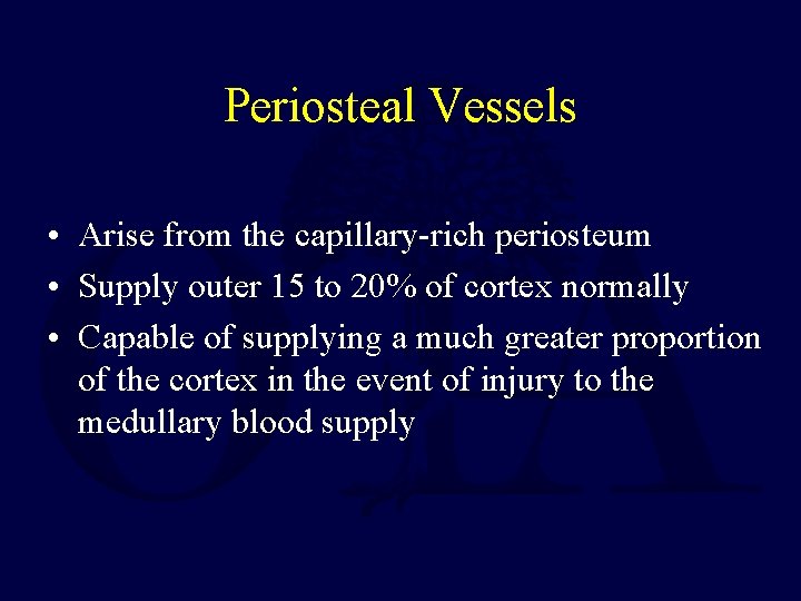Periosteal Vessels • Arise from the capillary-rich periosteum • Supply outer 15 to 20%