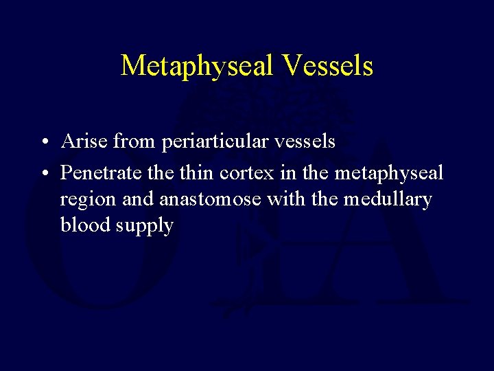 Metaphyseal Vessels • Arise from periarticular vessels • Penetrate thin cortex in the metaphyseal