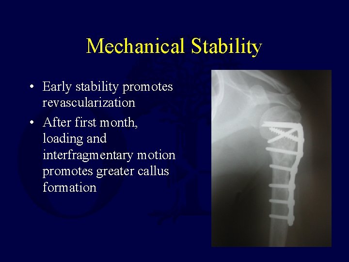 Mechanical Stability • Early stability promotes revascularization • After first month, loading and interfragmentary