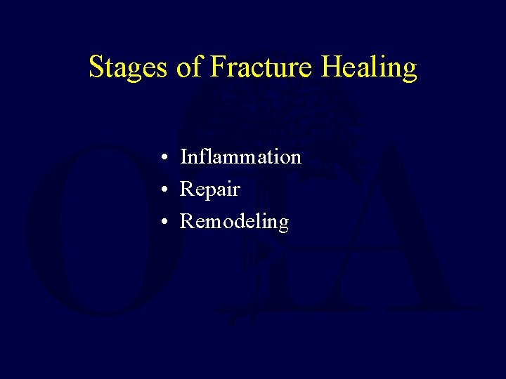 Stages of Fracture Healing • Inflammation • Repair • Remodeling 