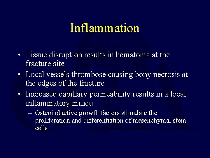 Inflammation • Tissue disruption results in hematoma at the fracture site • Local vessels
