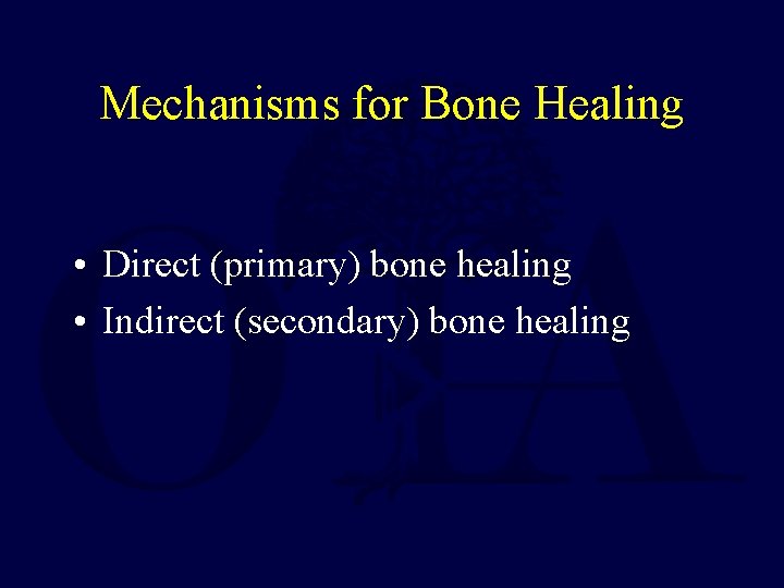 Mechanisms for Bone Healing • Direct (primary) bone healing • Indirect (secondary) bone healing