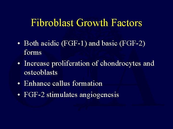 Fibroblast Growth Factors • Both acidic (FGF-1) and basic (FGF-2) forms • Increase proliferation