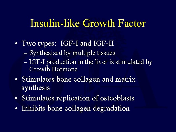 Insulin-like Growth Factor • Two types: IGF-I and IGF-II – Synthesized by multiple tissues