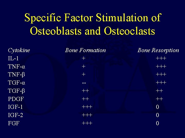 Specific Factor Stimulation of Osteoblasts and Osteoclasts Cytokine IL-1 TNF-α TNF-β TGF-α TGF-β PDGF