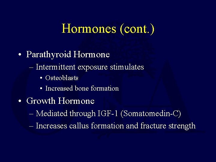 Hormones (cont. ) • Parathyroid Hormone – Intermittent exposure stimulates • Osteoblasts • Increased