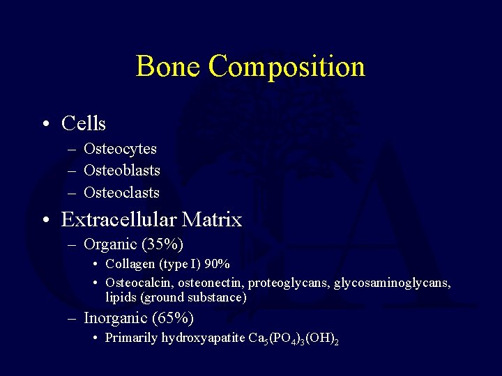 Bone Composition • Cells – Osteocytes – Osteoblasts – Osteoclasts • Extracellular Matrix –