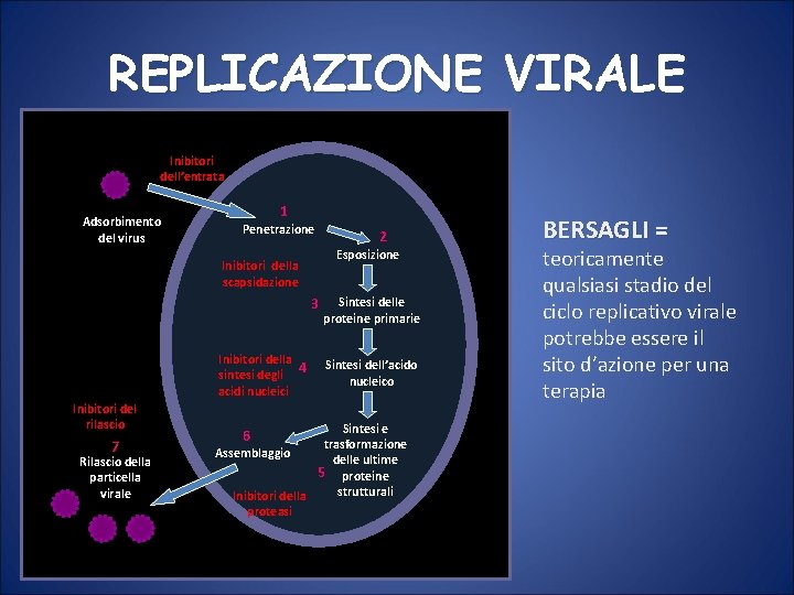 REPLICAZIONE VIRALE Inibitori dell’entrata Adsorbimento del virus 1 Penetrazione Esposizione Inibitori della scapsidazione 3