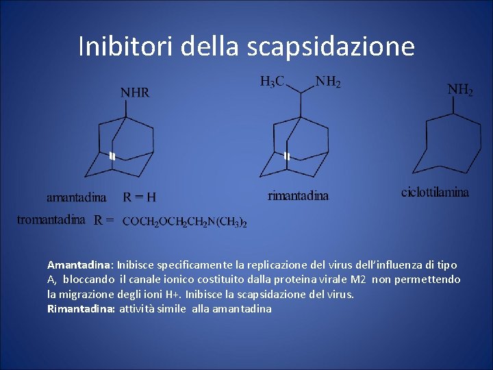 Inibitori della scapsidazione Amantadina: Inibisce specificamente la replicazione del virus dell’influenza di tipo A,