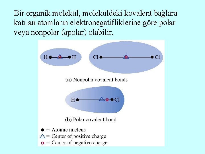 Bir organik molekül, moleküldeki kovalent bağlara katılan atomların elektronegatifliklerine göre polar veya nonpolar (apolar)