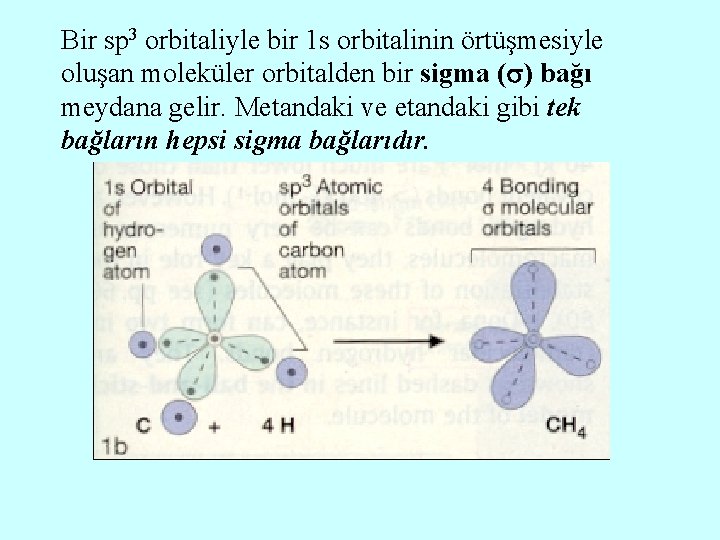 Bir sp 3 orbitaliyle bir 1 s orbitalinin örtüşmesiyle oluşan moleküler orbitalden bir sigma