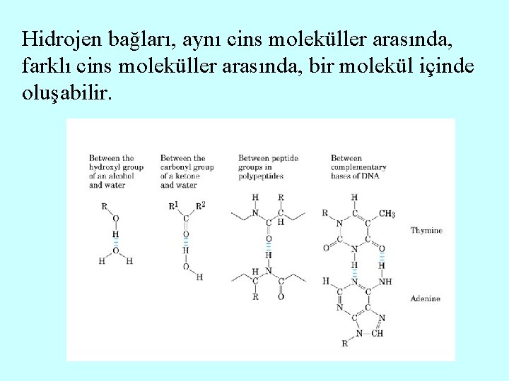 Hidrojen bağları, aynı cins moleküller arasında, farklı cins moleküller arasında, bir molekül içinde oluşabilir.