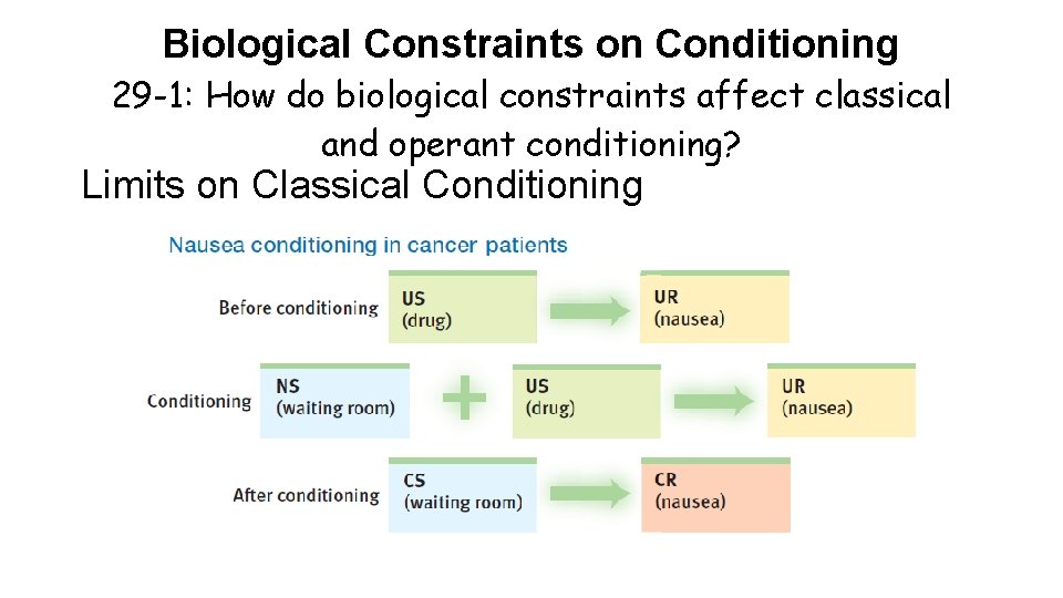 Biological Constraints on Conditioning 29 -1: How do biological constraints affect classical and operant