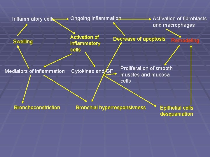Inflammatory cells Ongoing inflammation Swelling Activation of inflammatory cells Mediators of inflammation Bronchoconstriction Cytokines