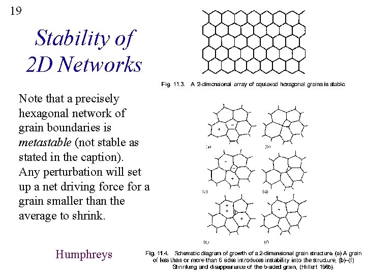 19 Stability of 2 D Networks Note that a precisely hexagonal network of grain