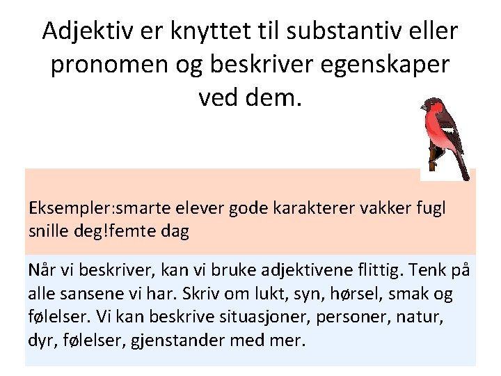 Adjektiv er knyttet til substantiv eller pronomen og beskriver egenskaper ved dem. Eksempler: smarte