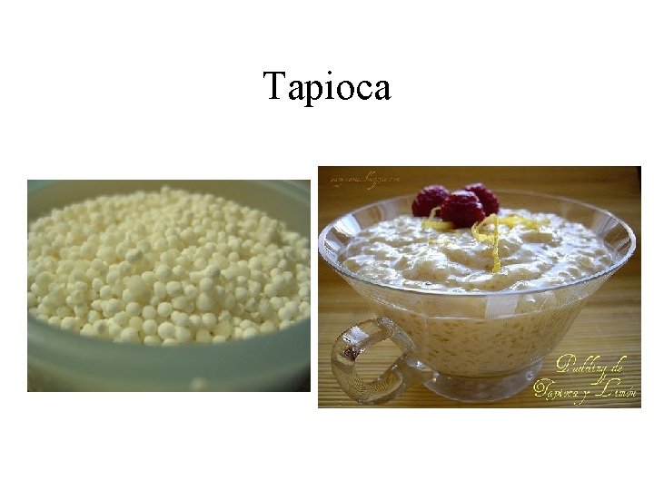 Tapioca 