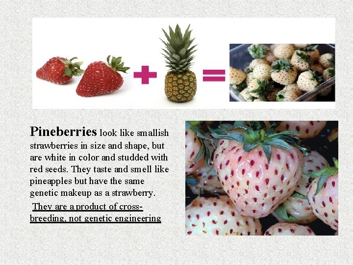 Pineberries look like smallish strawberries in size and shape, but are white in color