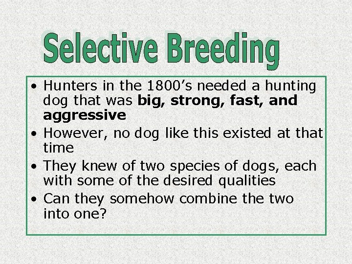  • Hunters in the 1800’s needed a hunting dog that was big, strong,