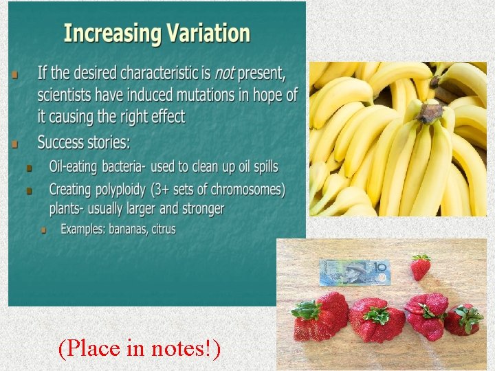 (Place in notes!) (Place in notes!)
