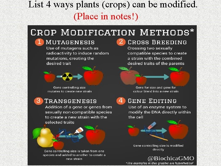 List 4 ways plants (crops) can be modified. (Place in notes!) 