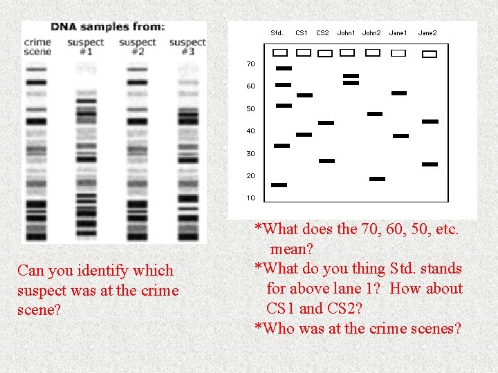 Can you identify which suspect was at the crime scene? *What does the 70, Can you identify which suspect was at the crime scene? *What does the 70,
