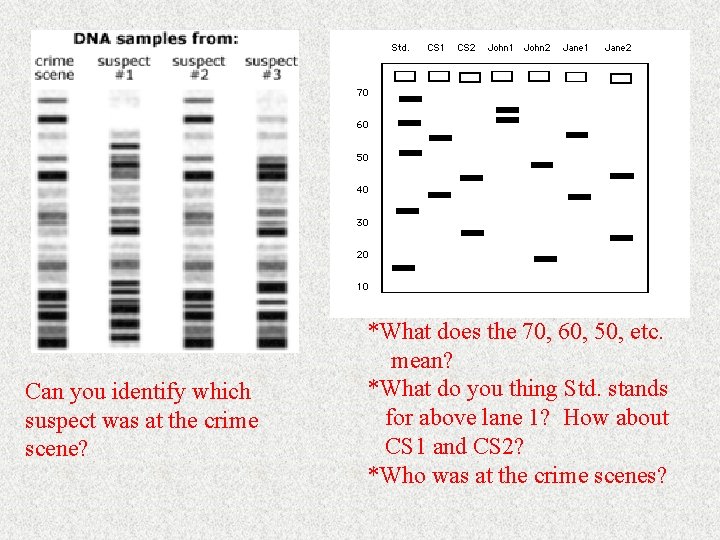 Can you identify which suspect was at the crime scene? *What does the 70,